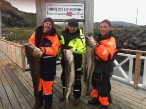 IMG-20170727-WA0008