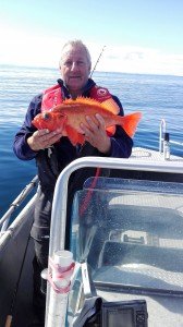 IMG_20170628_110645-1