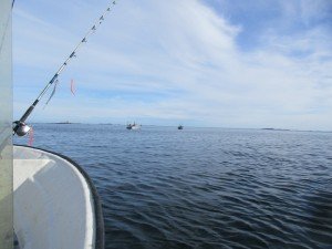 IMG_2521-800x600