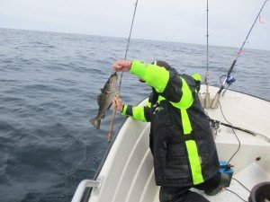 IMG_2524-800x600