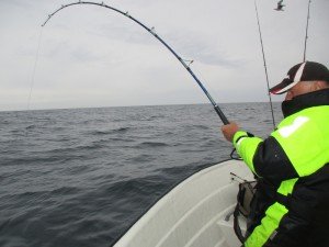 IMG_2527-800x600