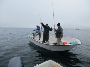 IMG_2836-800x600