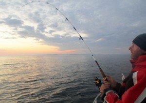 IMG_2876-800x568
