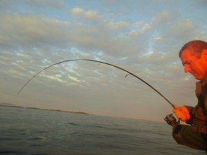 IMG_2885-800x600