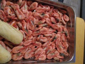 IMG_2907-800x600