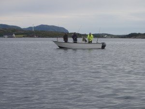 P7071314