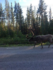 thumb_IMG_4131_1024