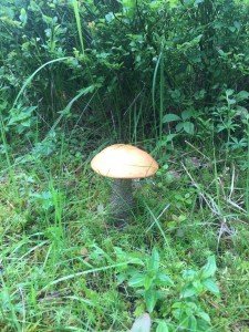 thumb_IMG_4143_1024