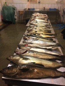 thumb_IMG_4145_1024