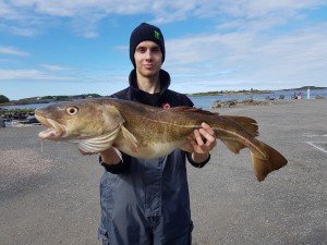 IMG-20170819-WA0000