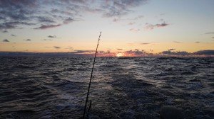 IMG-20170821-WA0000