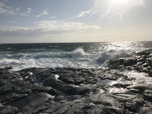IMG_0941