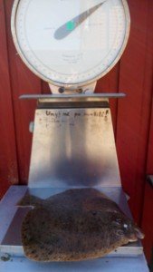 IMG_20170722_155455