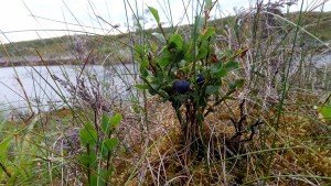 IMG_20170728_210033