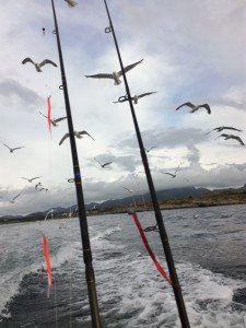IMG_20170802_181825