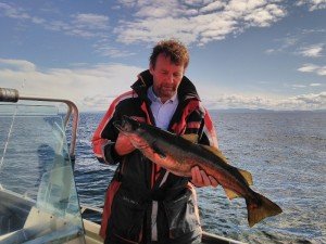 IMG_20170803_102706-800x600
