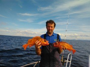IMG_20170805_135520-800x600
