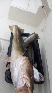 IMG_20170815_155537