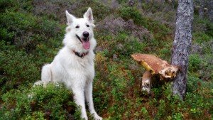 IMG_20170828_171059