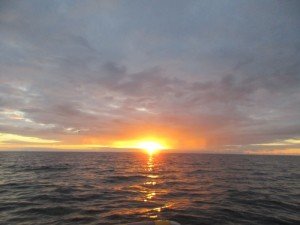 IMG_2955-800x600