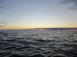 IMG_2987-800x600