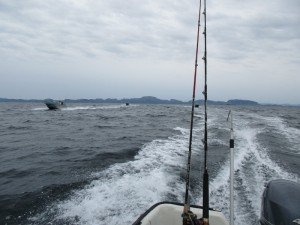 IMG_2995-800x600-800x600