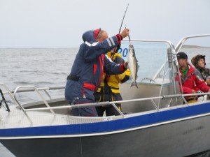 IMG_2996-800x600