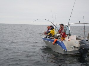 IMG_3002-800x600