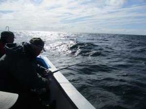 IMG_3006-800x600