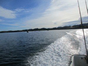 IMG_3020-800x600