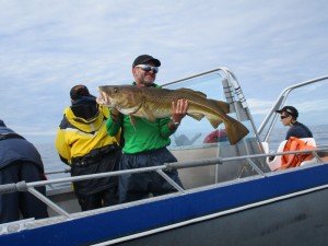 IMG_3023-800x600
