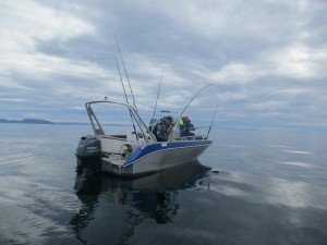 IMG_3036-800x600