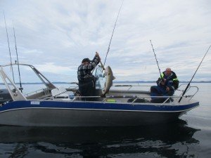 IMG_3037-800x600