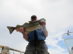 IMG_3062-800x600