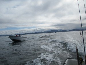 IMG_3108-800x600