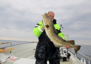IMG_3124-800x566