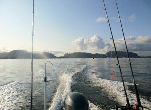 IMG_3140-800x581