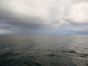 IMG_3159-800x599