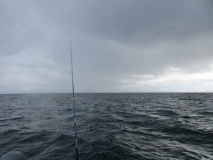 IMG_3171-800x600