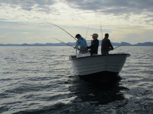 IMG_3193-800x600