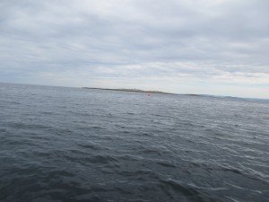 IMG_3194-800x600