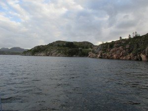 IMG_3206-800x600