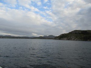 IMG_3207-800x600