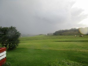 IMG_3214-800x600