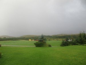 IMG_3217-800x600