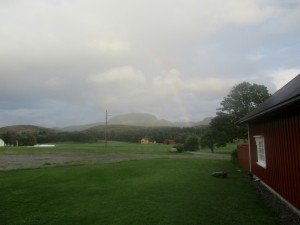 IMG_3219-800x600