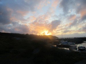 IMG_3220-800x600