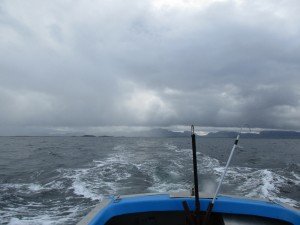 IMG_3221-800x600