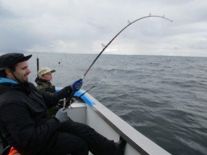IMG_3223-800x600
