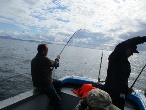 IMG_3228-800x600